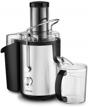 Gourmia GJ1250 Juicer review