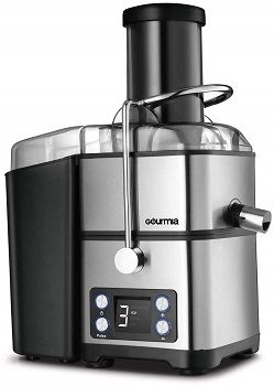 Gourmia GJ1350 Juicer review