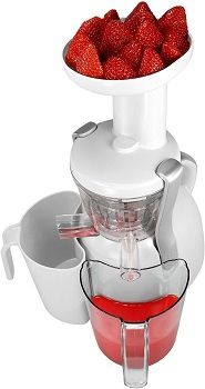 Big Boss 9192 Healthy Press Slow Juicer review