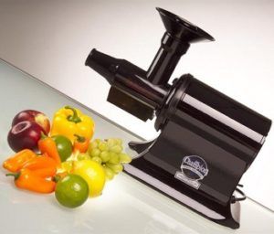 Champion Classic 2000 Juicer G5-NG-853S review