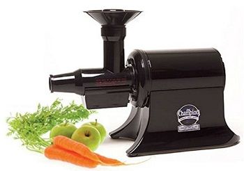 Champion Commercial Heavy-Duty Juicer G5- PG710 review