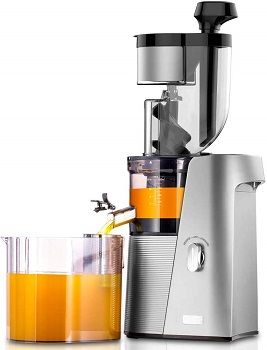 SKG A10 Cold Press Masticating Juicer review