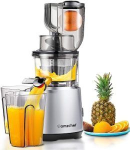 Amzchef Slow Vertical Masticating Juicer