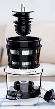 Homever GS-132 Slow Masticating Juicer Extractor review