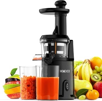 Homever GS-132 Slow Masticating Juicer Extractor